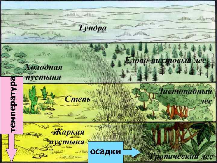 осадки температура 