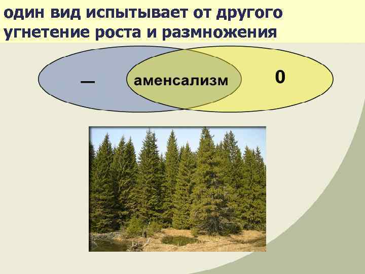 один вид испытывает от другого угнетение роста и размножения 