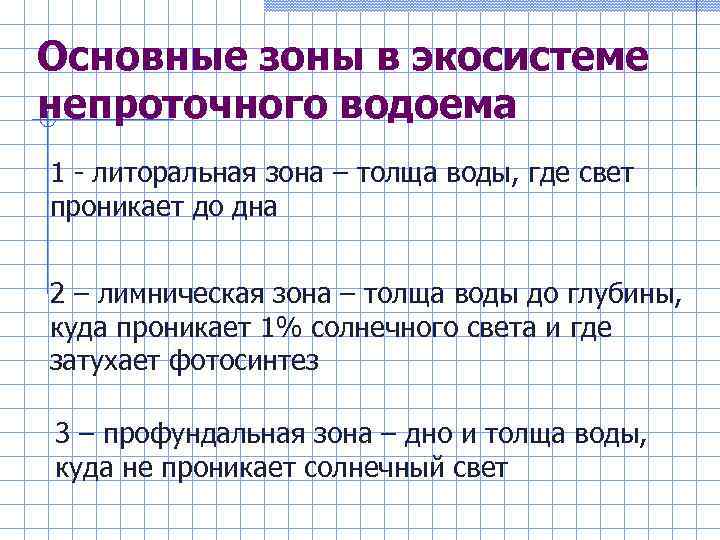 Основные зоны в экосистеме непроточного водоема 1 - литоральная зона – толща воды, где