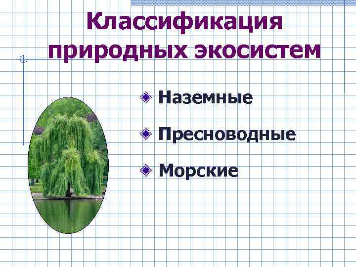 Классификация природных экосистем Наземные Пресноводные Морские 