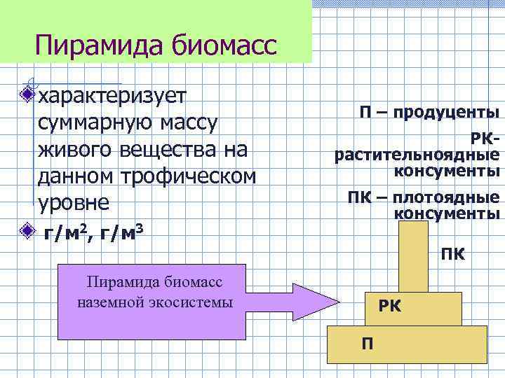 Пирамида биомасс характеризует суммарную массу живого вещества на данном трофическом уровне г/м 2, г/м