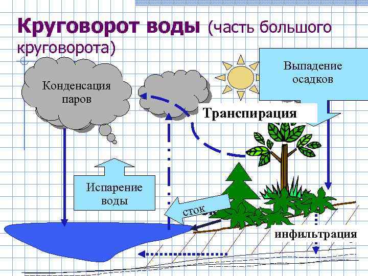 Круговорот воды (часть большого круговорота) Конденсация паров Испарение воды Выпадение осадков Тр Транспирация сток