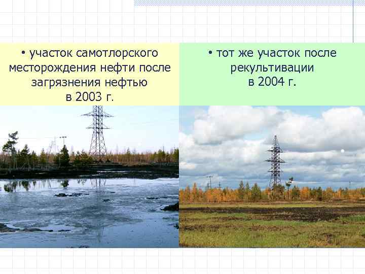  • участок самотлорского месторождения нефти после загрязнения нефтью в 2003 г. • тот