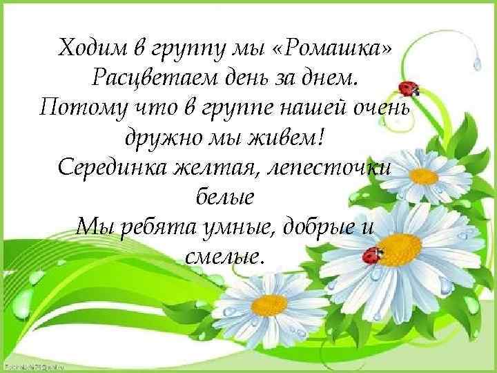 Ходим в группу мы «Ромашка» Расцветаем день за днем. Потому что в группе нашей