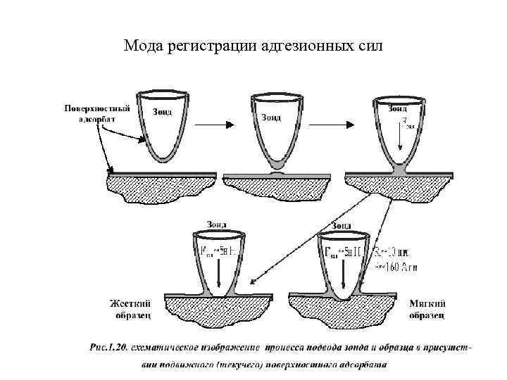 Мода регистрации адгезионных сил 