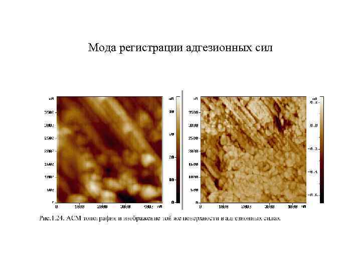 Мода регистрации адгезионных сил 