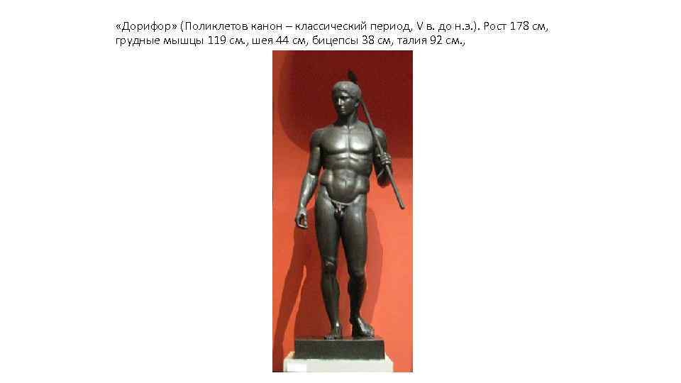  «Дорифор» (Поликлетов канон – классический период, V в. до н. э. ). Рост