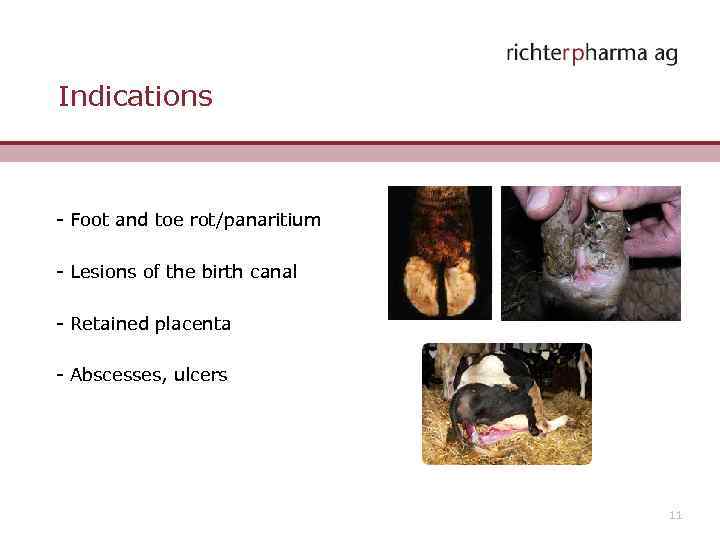 Indications - Foot and toe rot/panaritium - Lesions of the birth canal - Retained