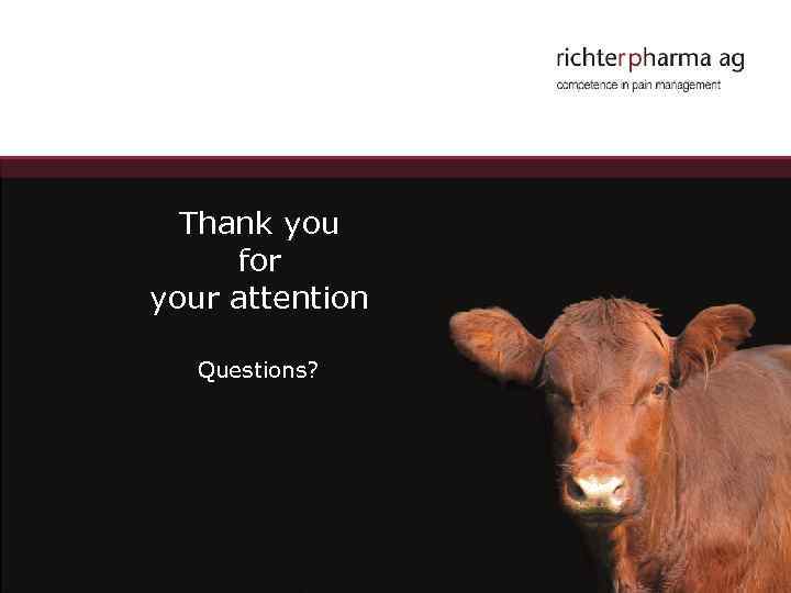 Thank you for your attention Questions? 17 