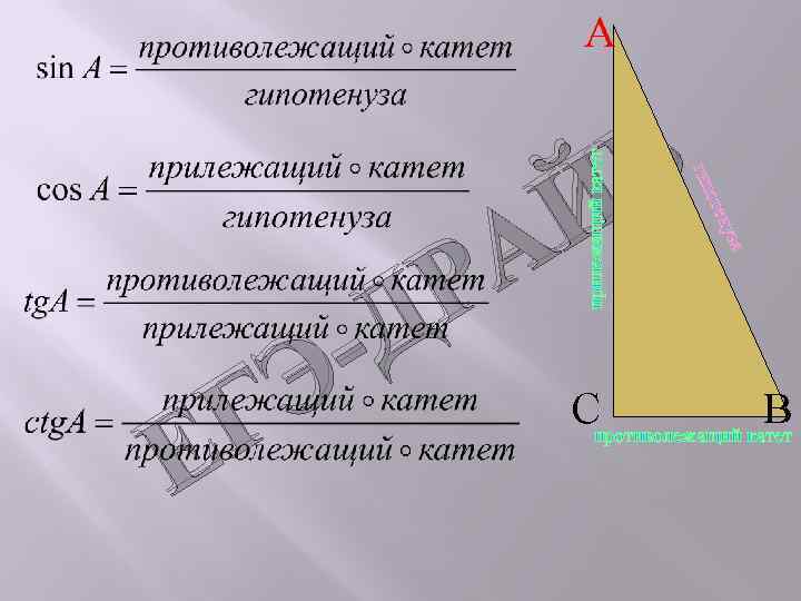 Найти угол прилежащего катета. Прилежащий катет. Прилежащий катет и противолежащий катет. Противолежащий и прилежащий катеты в треугольнике. Прилежащий.