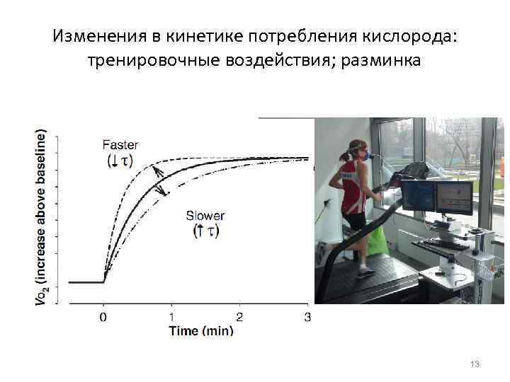 Изменения в кинетике потребления кислорода: тренировочные воздействия; разминка 13 