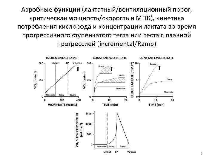 Процесс снижения аэробных показателей после прекращения занятий