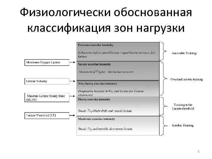 Физиологически обоснованная классификация зон нагрузки 5 