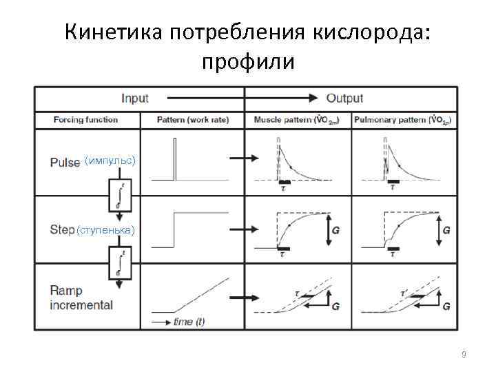 Кинетика потребления кислорода: профили (импульс) (ступенька) 9 