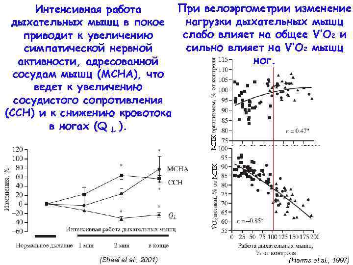 МПК При велоэргометрии изменение Интенсивная работа нагрузки дыхательных мышц в покое слабо влияет на