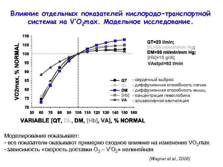 Влияние отдельных показателей кислородо-транспортной системы на V’O 2 max. Модельное исследование. - сердечный выброс