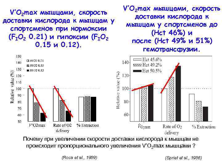 V’O 2 max мышцами, скорость доставки кислорода к мышцам у спортсменов при нормоксии (FIO