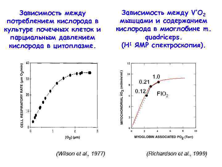 Зависимость содержания. График зависимости между содержанием кислорода в крови. Зависимость между содержанием свободного и связанного кислорода. Графики зависимости парциального давления кислорода. Потребление кислорода клеткой.