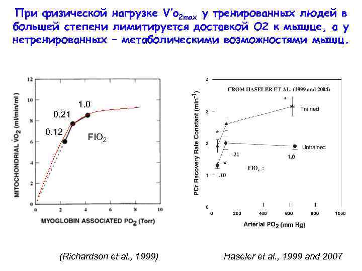 При физической нагрузке V’o 2 max у тренированных людей в большей степени лимитируется доставкой