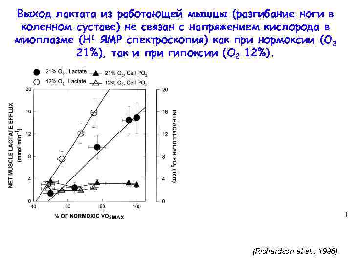 Выход лактата из работающей мышцы (разгибание ноги в коленном суставе) не связан с напряжением