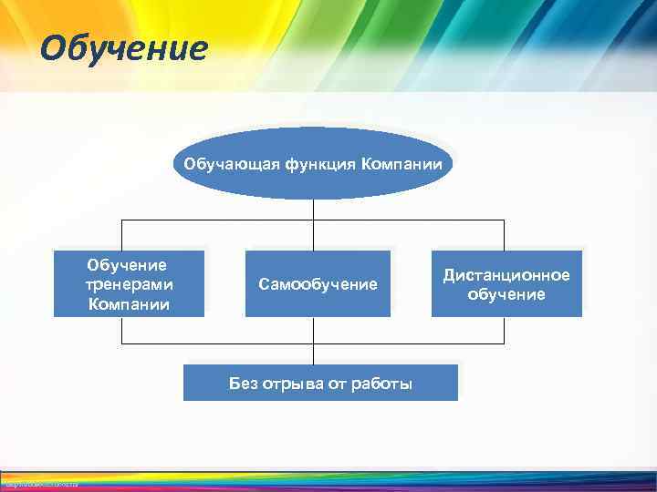 Возможность обучения в организации. Обучающая функция предприятия. Функция обучения в компании. Обучающие функции тренера. Возможность обучения и повышения классификации.