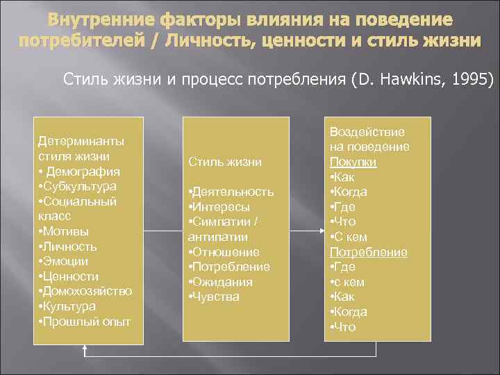 Внутренние факторы влияния на поведение потребителей / Личность, ценности и стиль жизни Стиль жизни