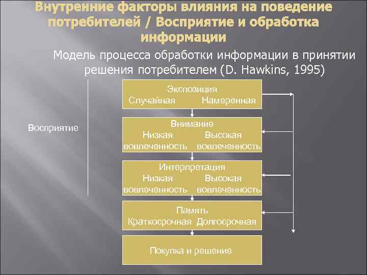 Внутренние факторы влияния на поведение потребителей / Восприятие и обработка информации Модель процесса обработки