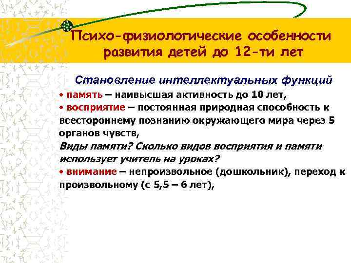 Психо-физиологические особенности развития детей до 12 -ти лет Становление интеллектуальных функций • память –