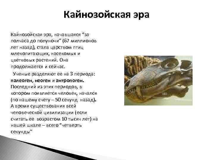 Кайнозойская эра, начавшаяся “за полчаса до полуночи” (67 миллионов лет назад), стала царством птиц