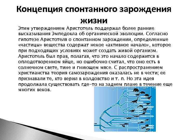 Концепция спонтанного зарождения жизни Этим утверждением Аристотель поддержал более ранние высказывания Эмпедокла об органической