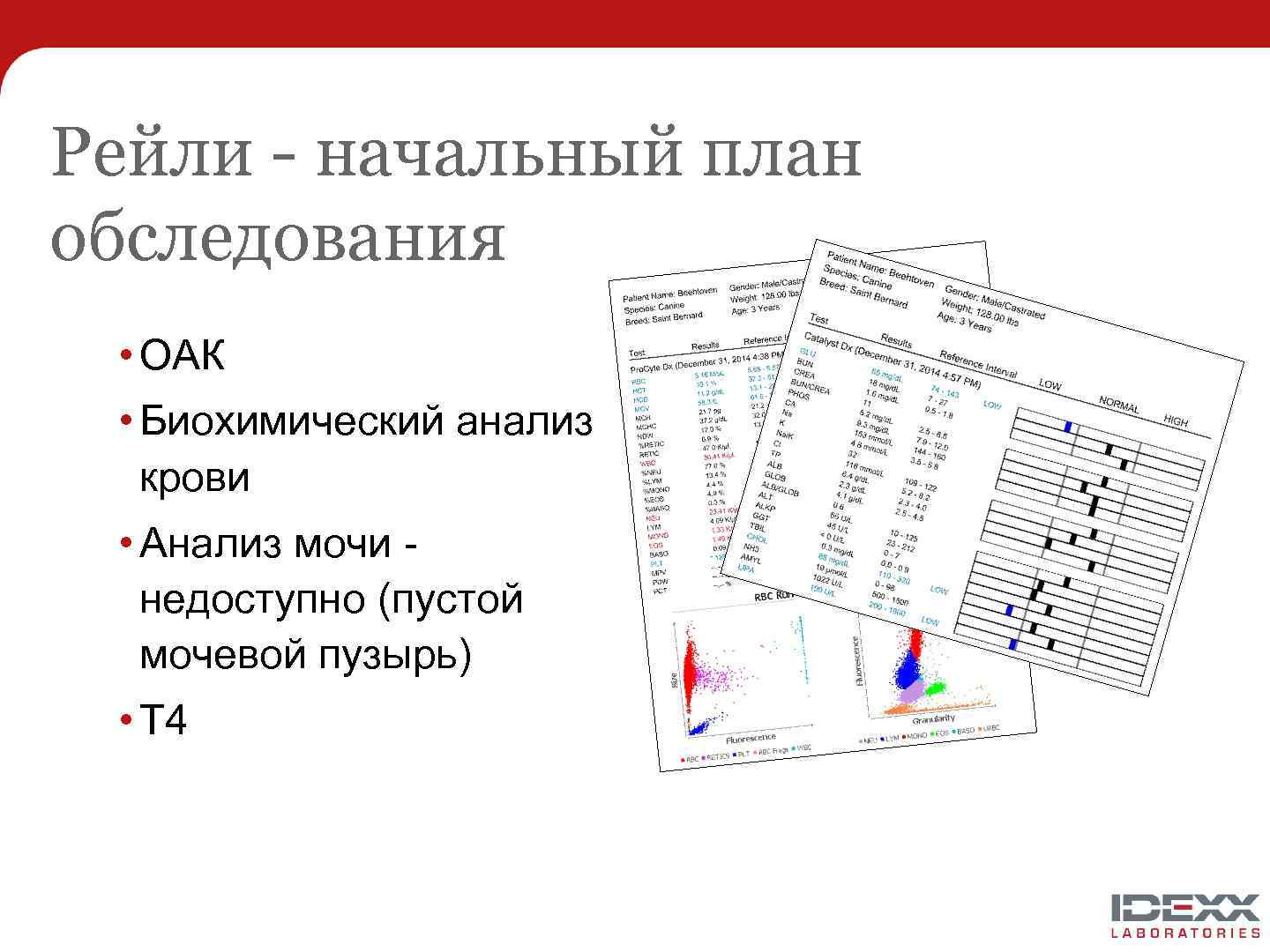 План обследования оак