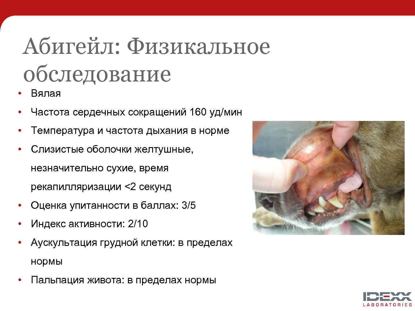 Абигейл: Физикальное обследование • Вялая • Частота сердечных сокращений 160 уд/мин • Температура и