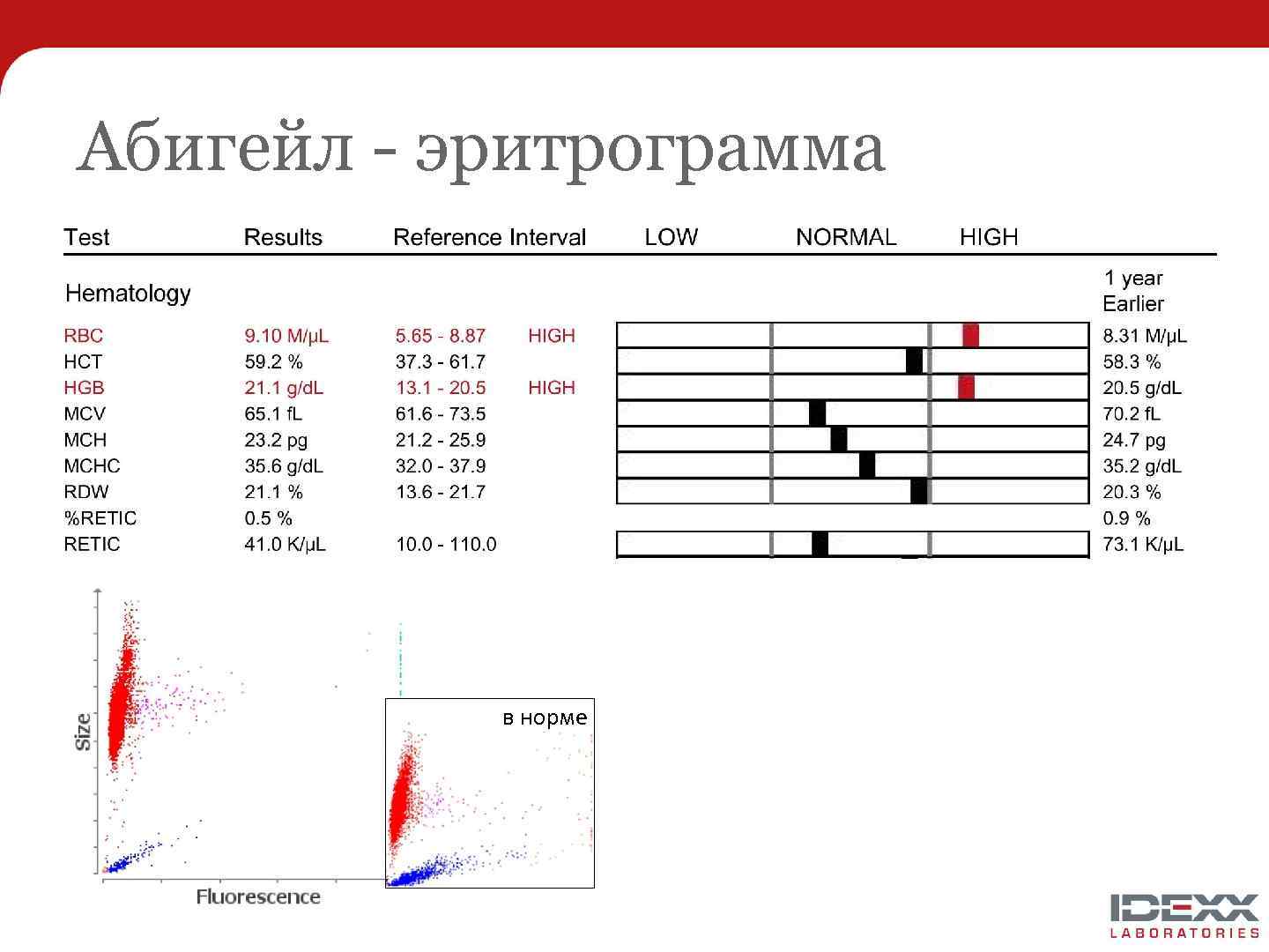 Абигейл - эритрограмма в норме 