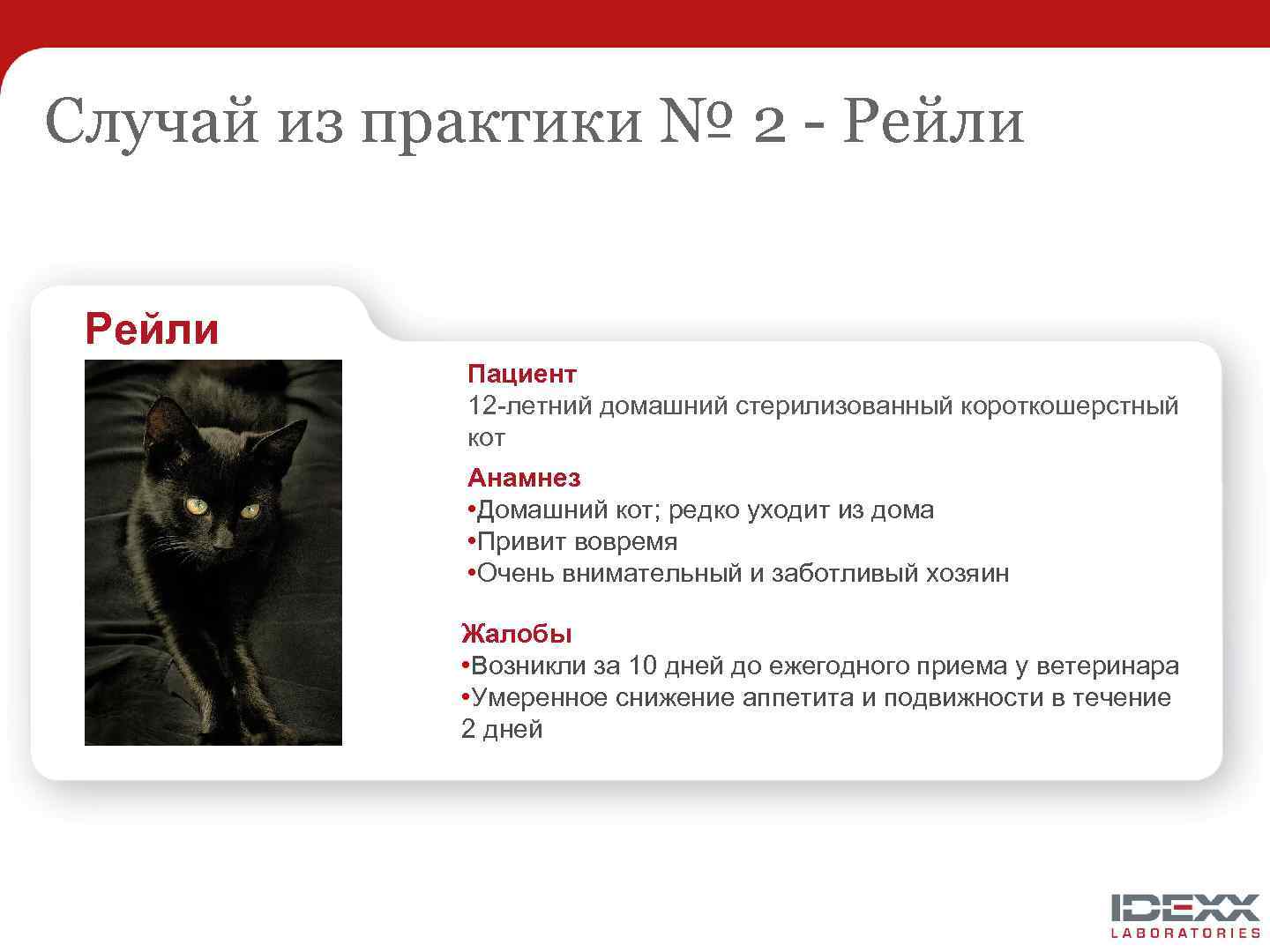 Случай из практики № 2 - Рейли Пациент 12 -летний домашний стерилизованный короткошерстный кот