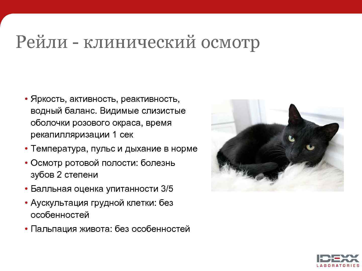 Рейли - клинический осмотр • Яркость, активность, реактивность, водный баланс. Видимые слизистые оболочки розового