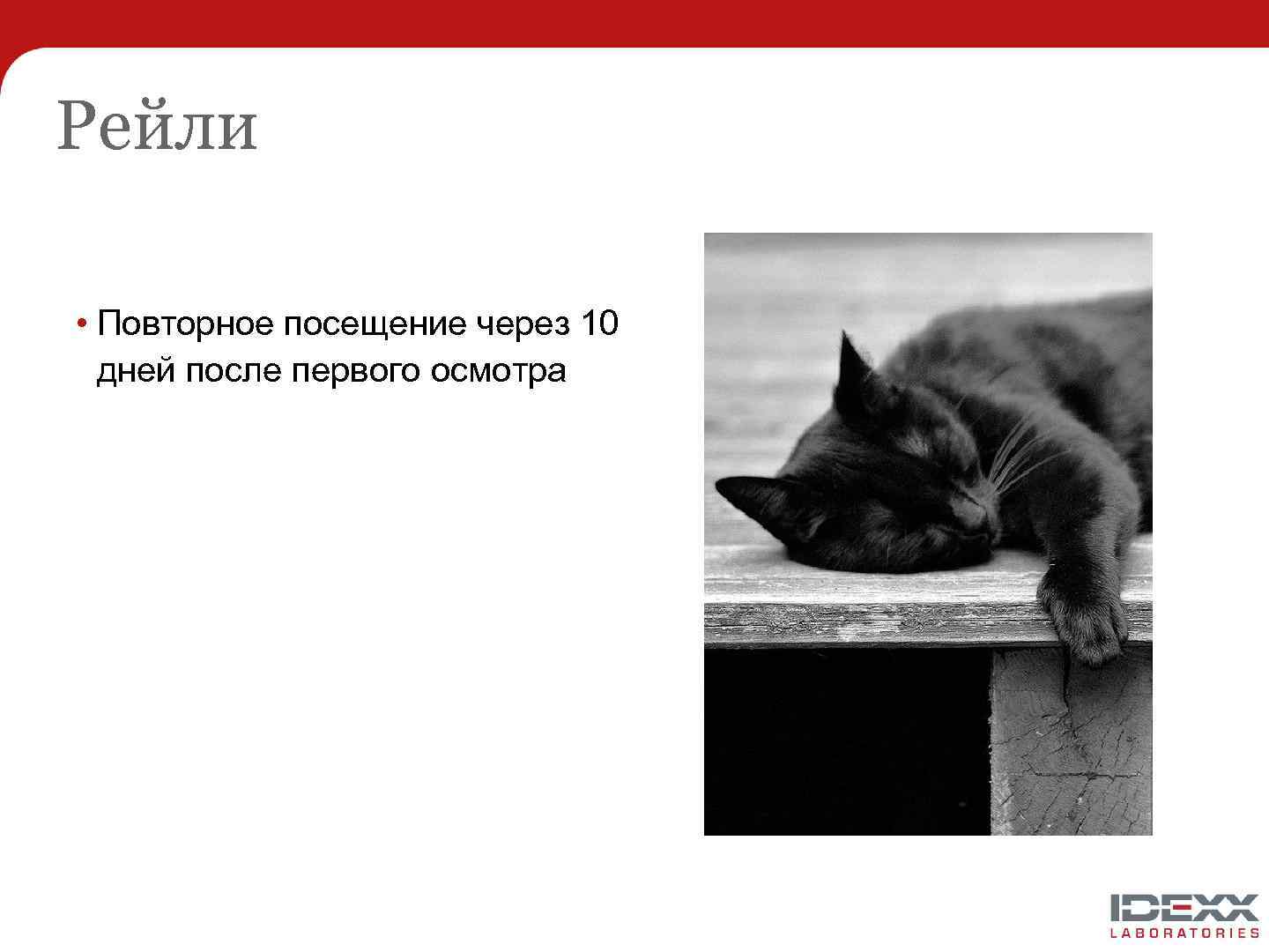 Рейли • Повторное посещение через 10 дней после первого осмотра 