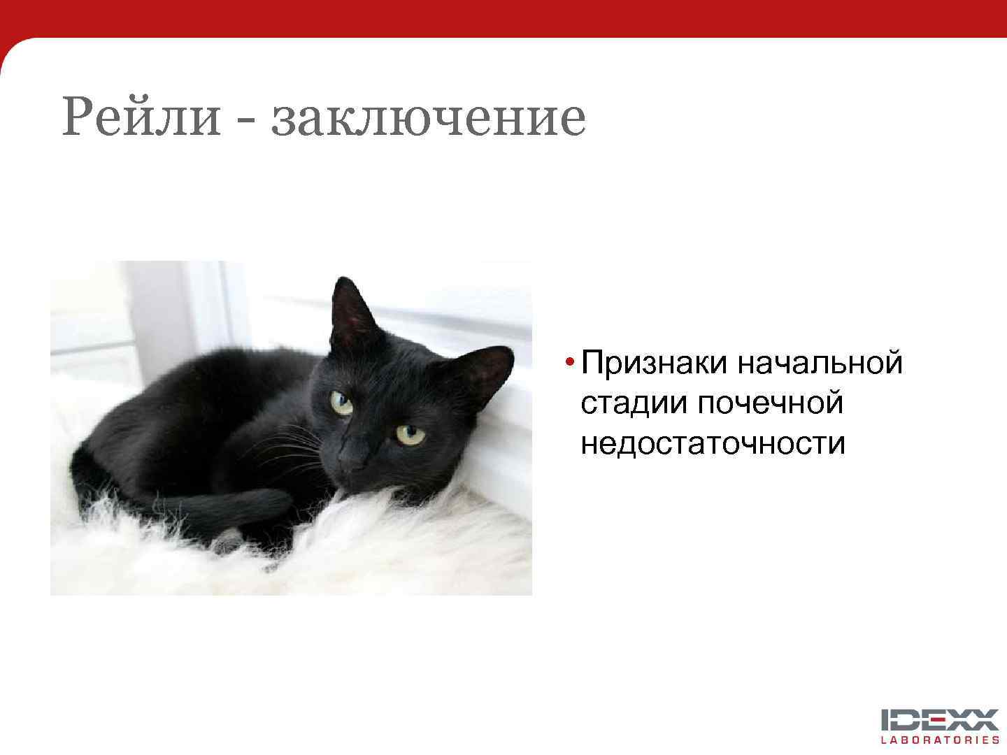 Рейли - заключение • Признаки начальной стадии почечной недостаточности 