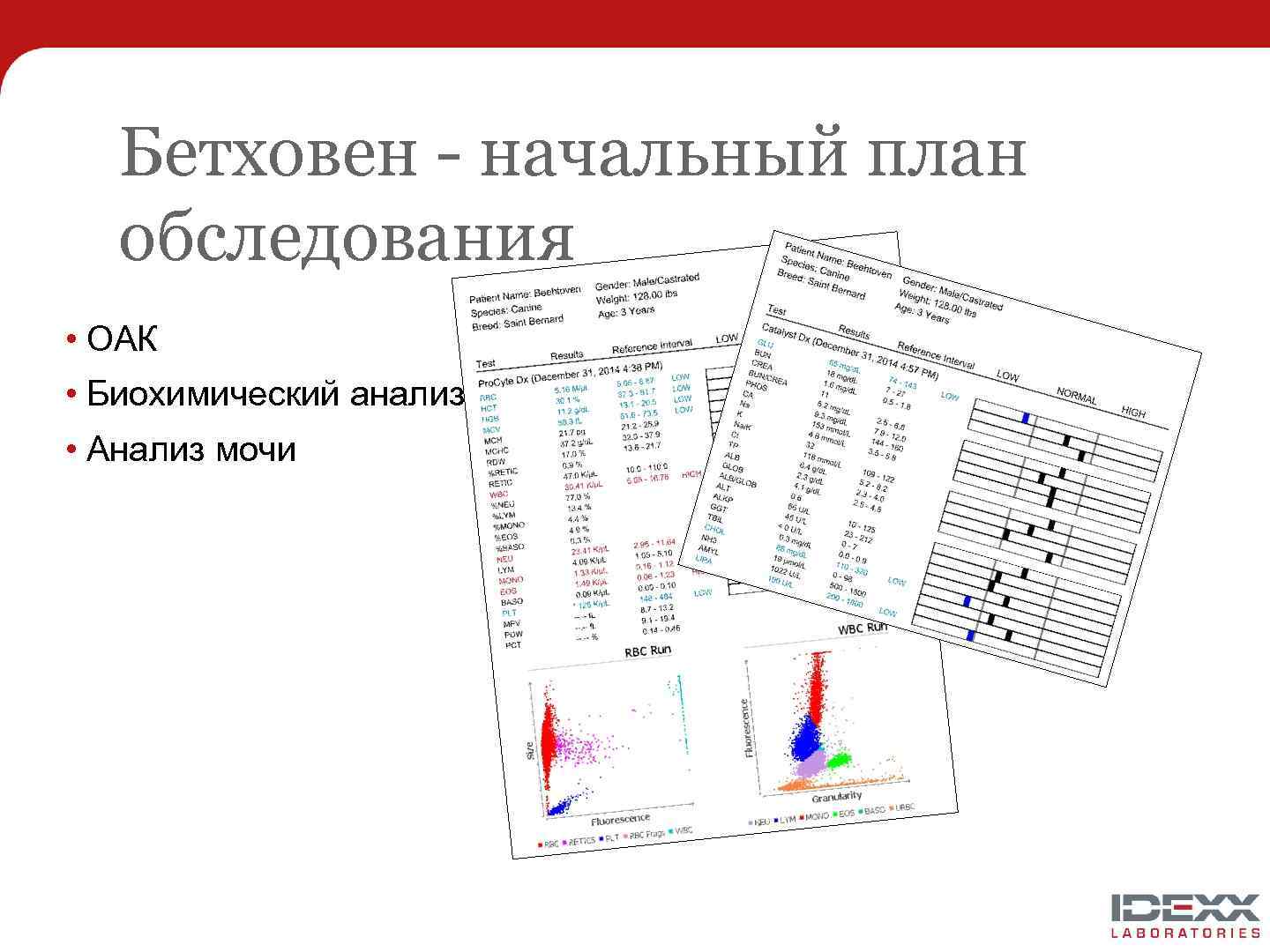 Бетховен - начальный план обследования • ОАК • Биохимический анализ крови • Анализ мочи