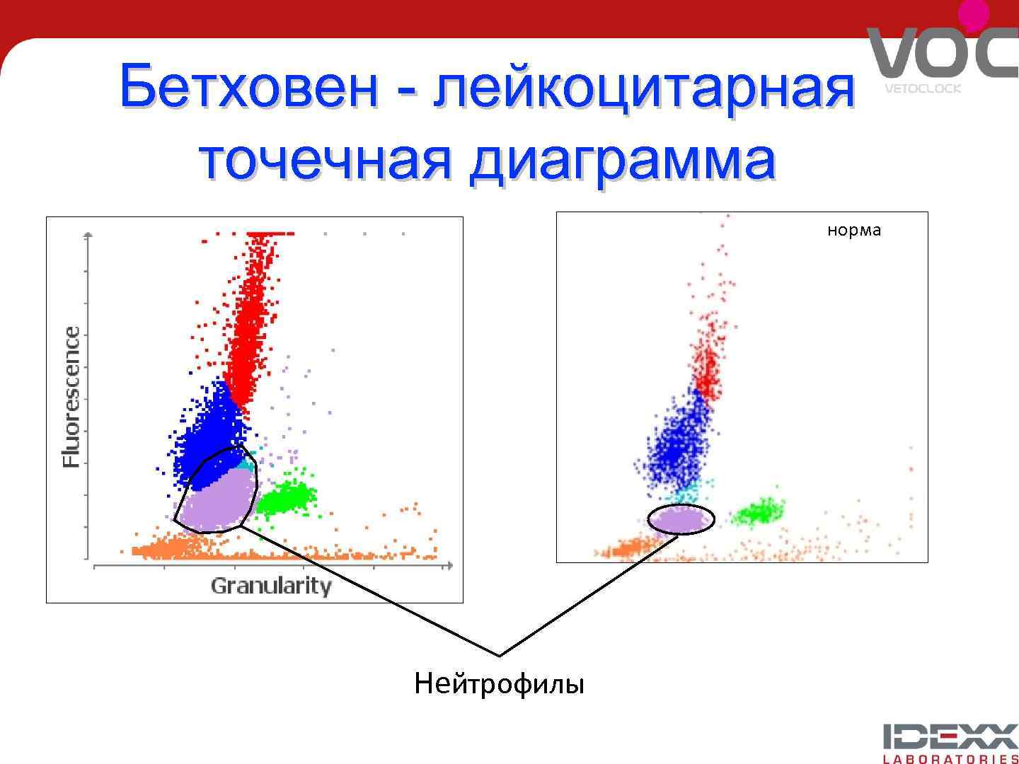 Бетховен - лейкоцитарная точечная диаграмма норма Нейтрофилы 