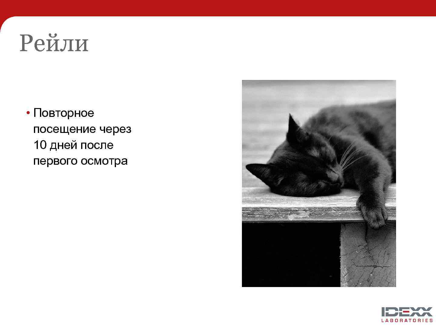 Рейли • Повторное посещение через 10 дней после первого осмотра 