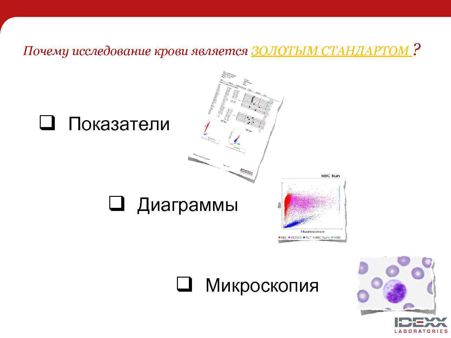 Почему исследование крови является ЗОЛОТЫМ СТАНДАРТОМ ? q Показатели q Диаграммы q Микроскопия 