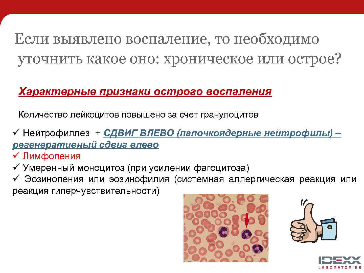 Если выявлено воспаление, то необходимо уточнить какое оно: хроническое или острое? Характерные признаки острого