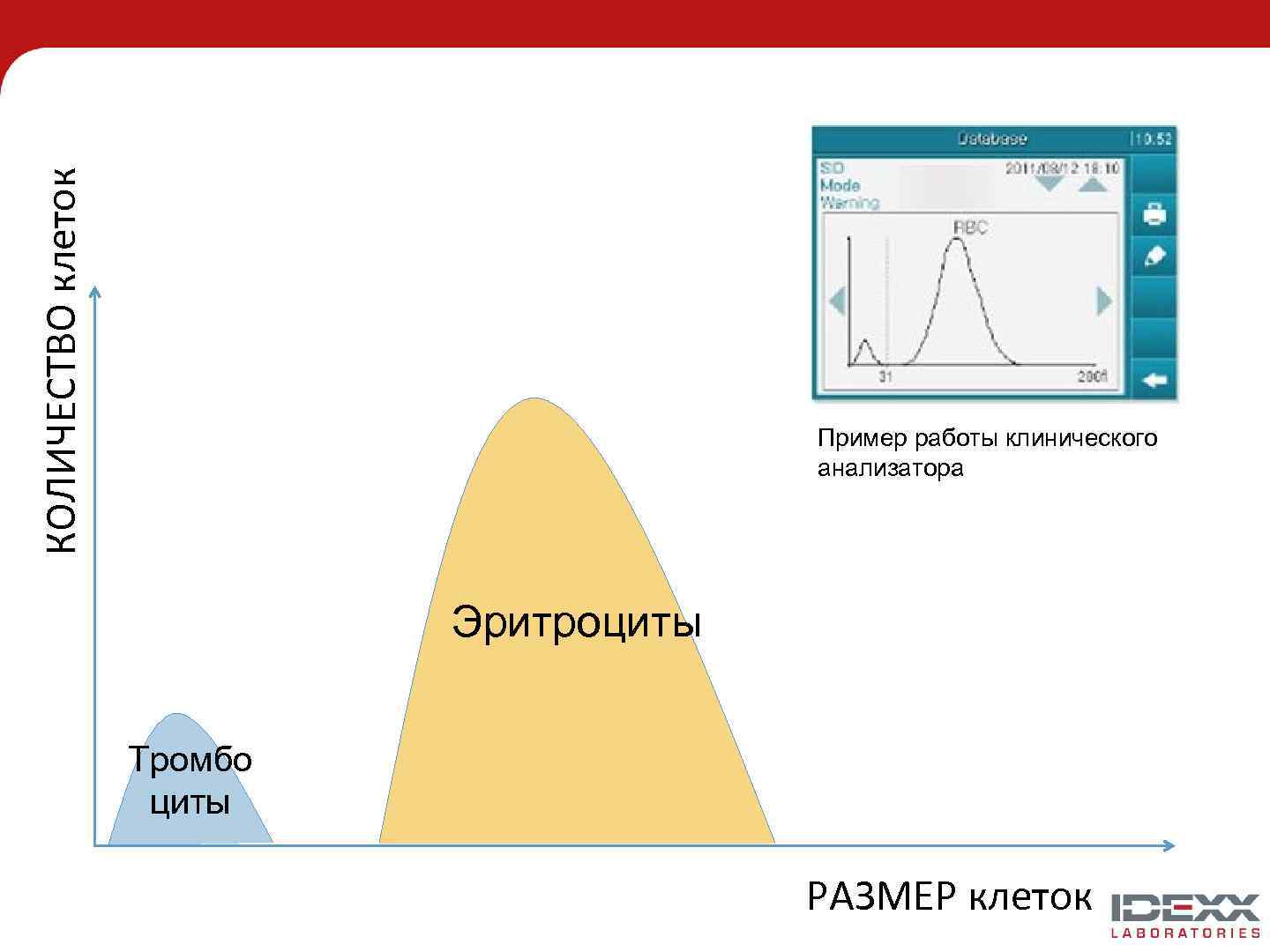 КОЛИЧЕСТВО клеток Пример работы клинического анализатора Эритроциты Тромбо циты РАЗМЕР клеток 
