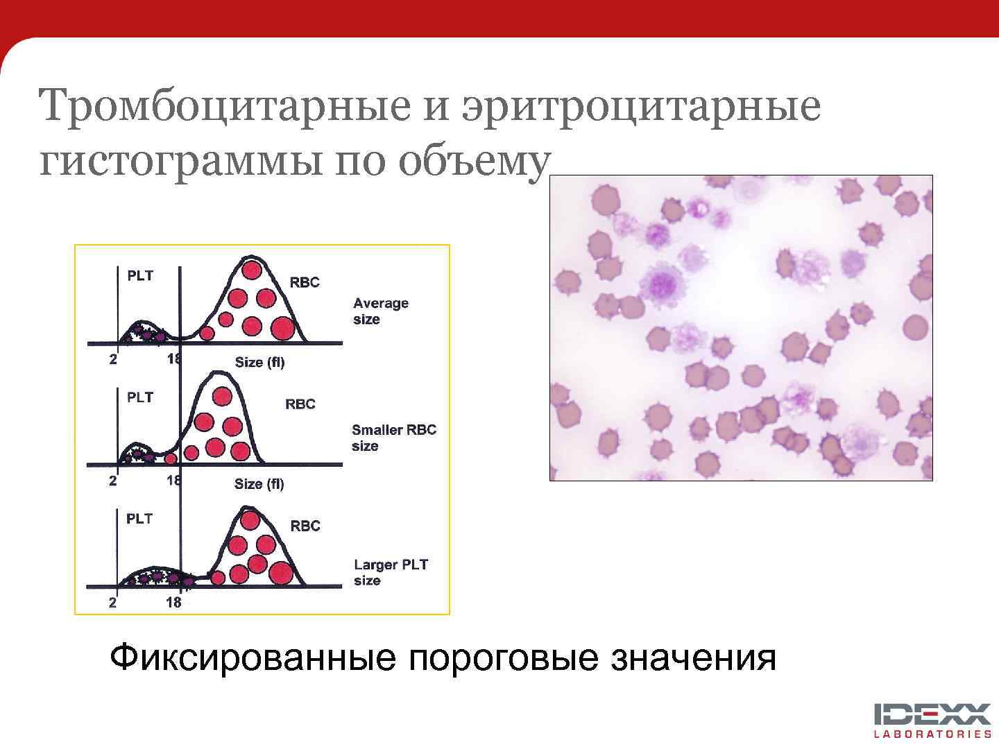 Распределение тромбоцитов