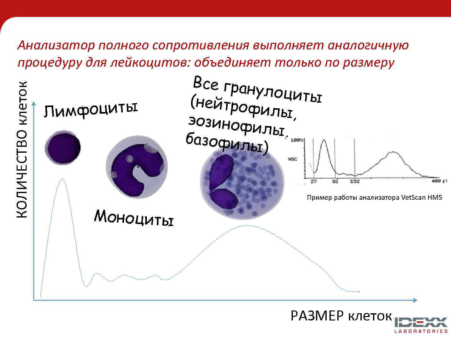КОЛИЧЕСТВО клеток Анализатор полного сопротивления выполняет аналогичную процедуру для лейкоцитов: объединяет только по размеру