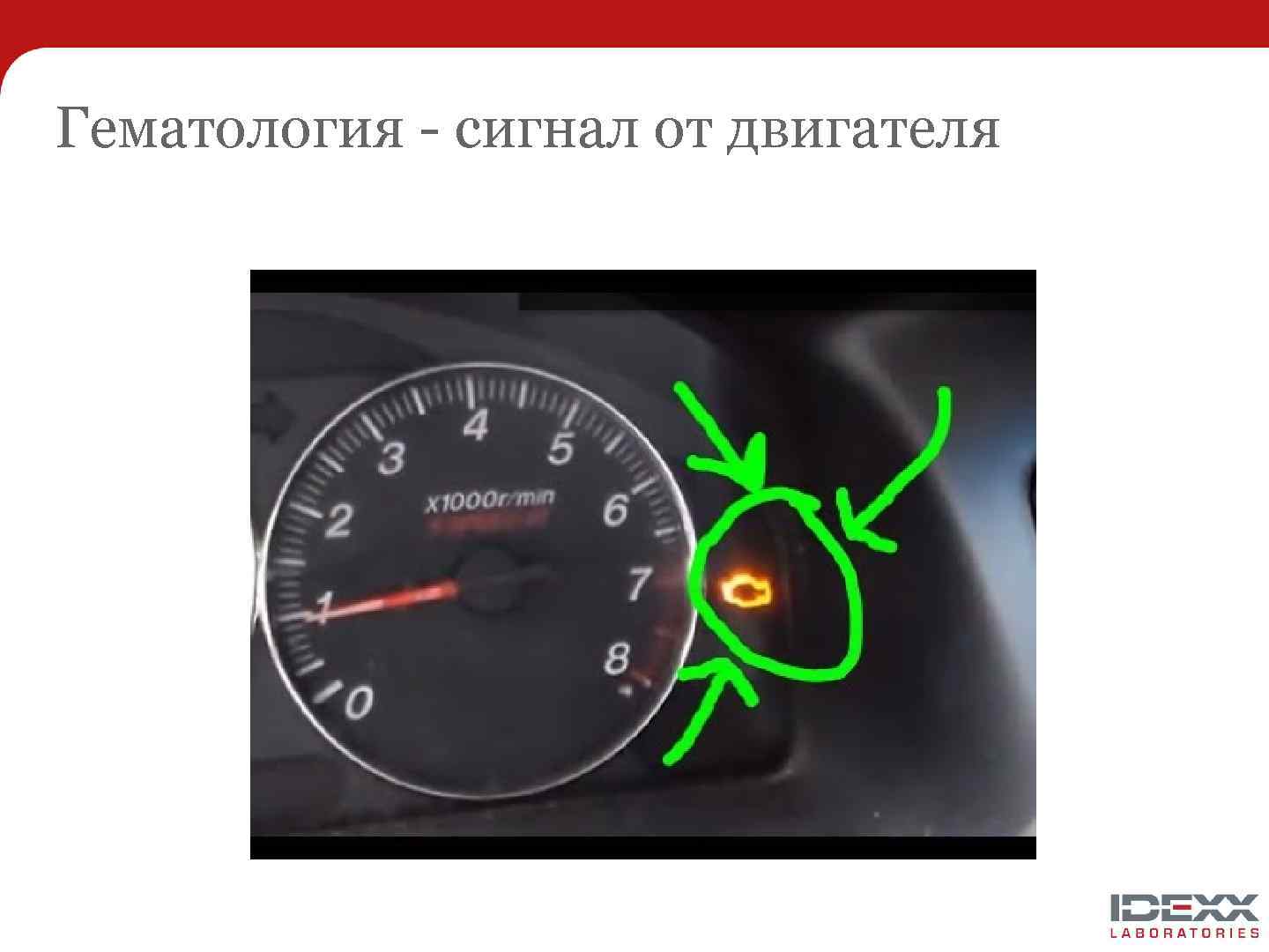Гематология - сигнал от двигателя 