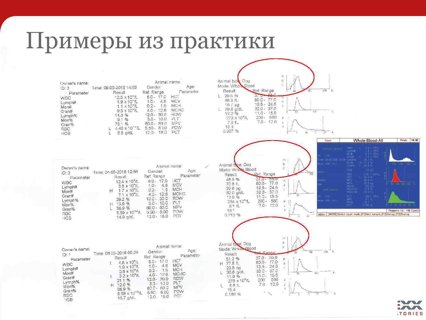 Примеры из практики 