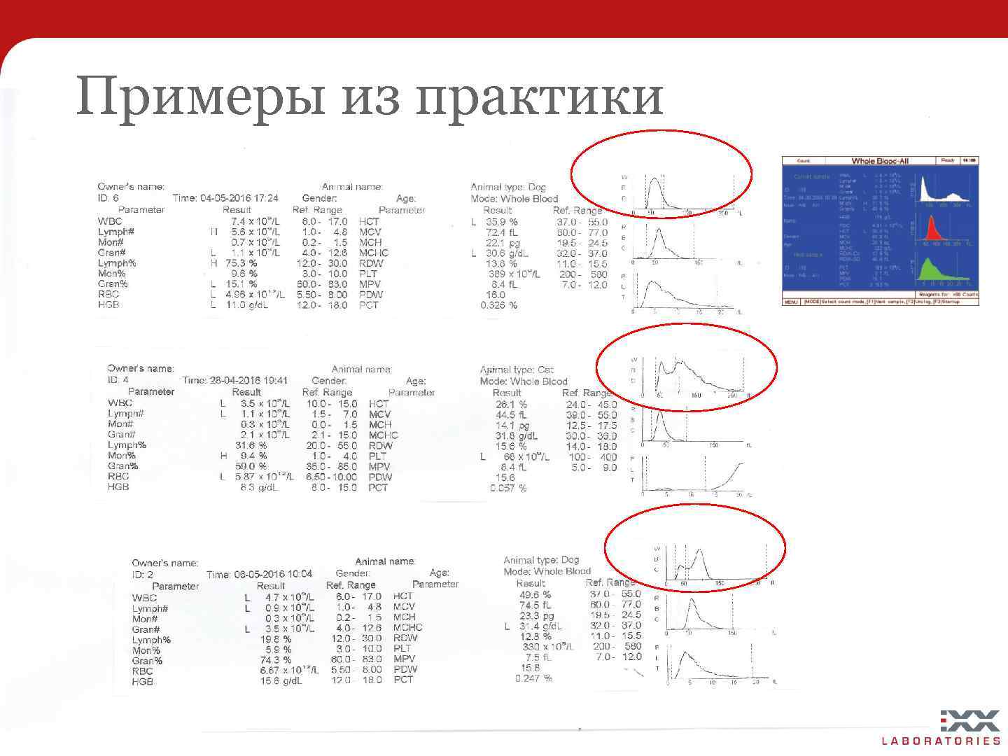 Примеры из практики 