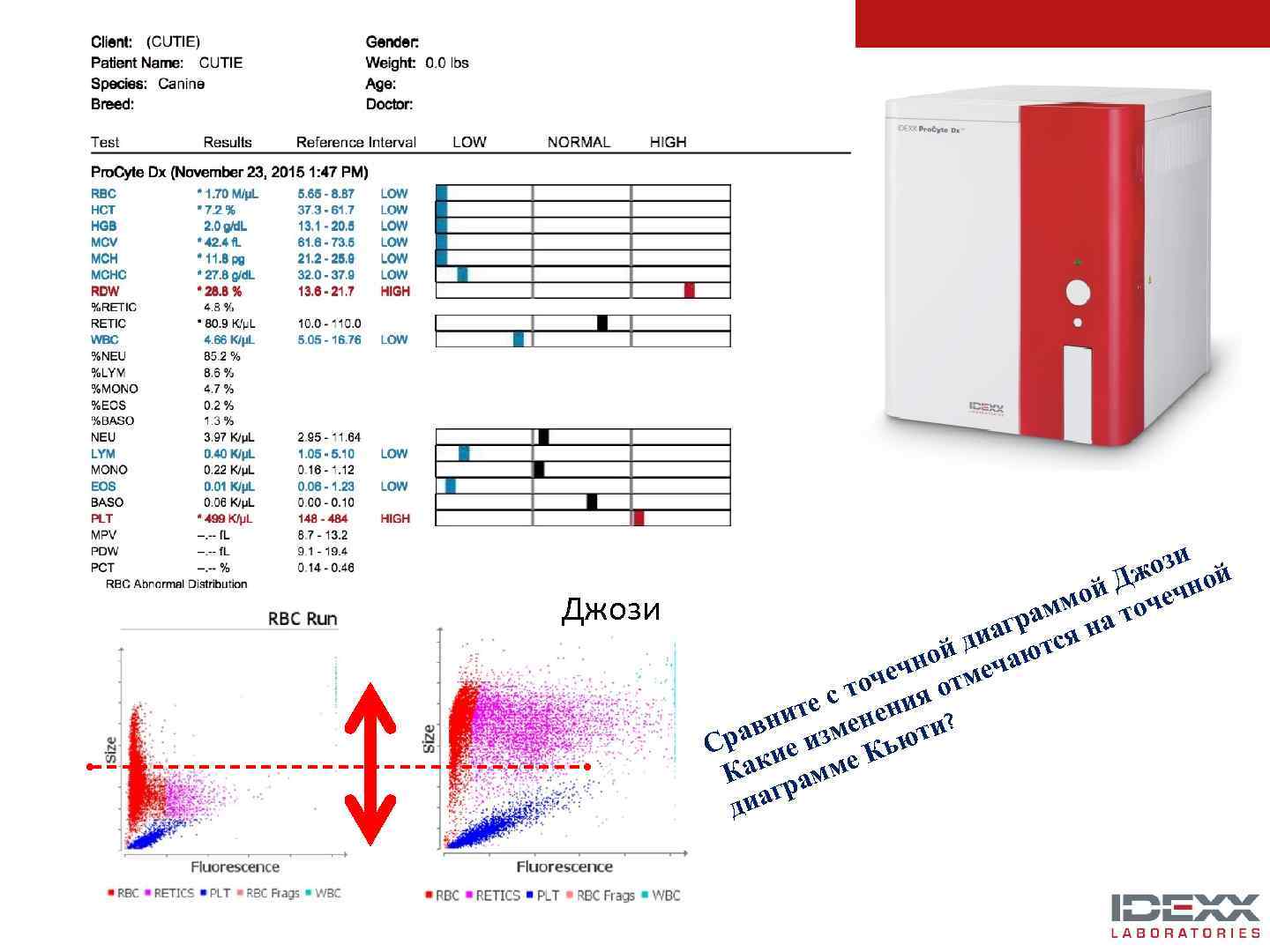 Джози й Дж чно ой че амм на то агр ся ди ют ной