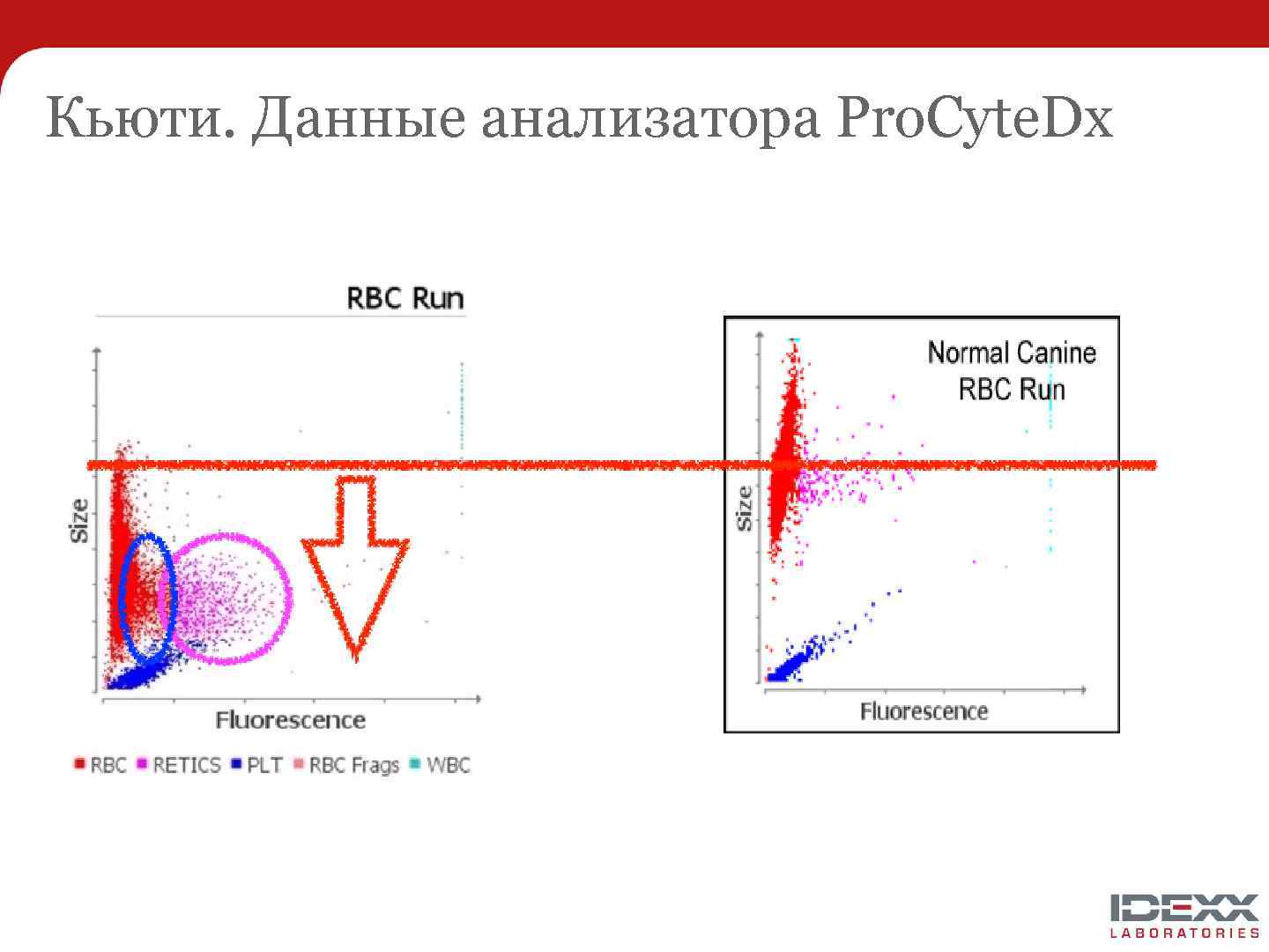 Кьюти. Данные анализатора Pro. Cyte. Dx 
